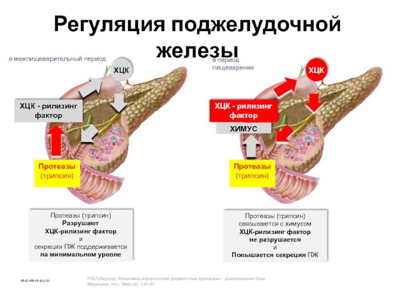 Реактивный панкреатит берут ли в армию